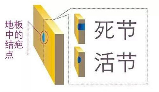 正确认识木地板的结疤，收获独特的天然美！三