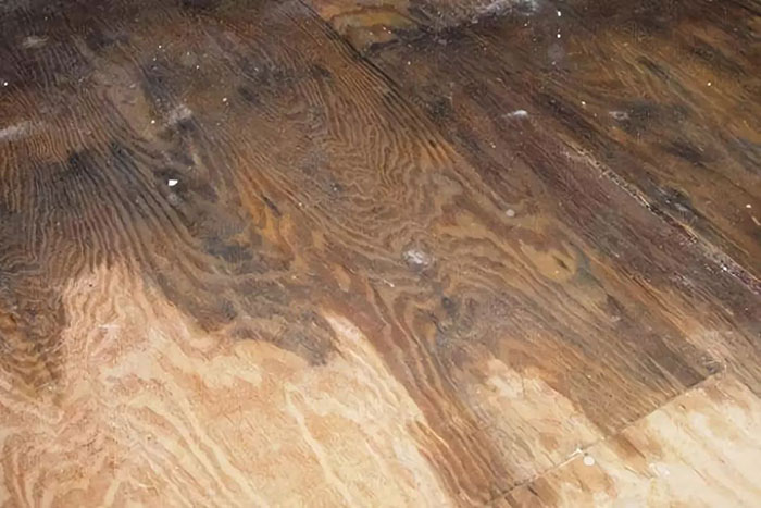 一直都是下雨天 你家地板还好吗？五